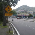 WD.22 Traffic Signal Ahead Sign | Quality JKR Signboard MY | Welldone