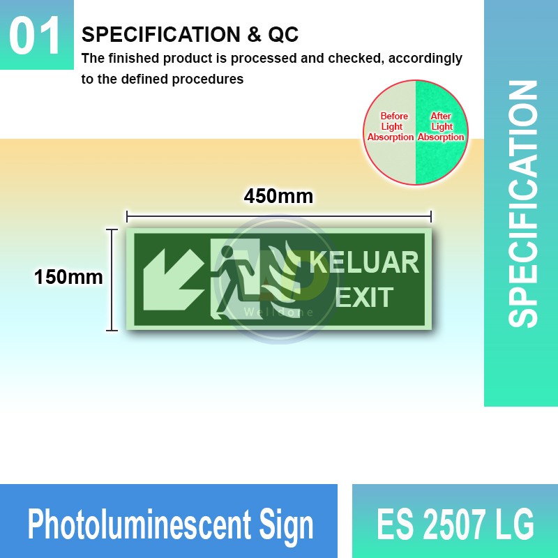 ES 2507 LG Photoluminescent Sign | Directional Finding Sign | Welldone