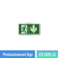 Photoluminescent Exit Sign (Down Arrow) - ES2509LG | Welldone