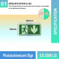 Photoluminescent Exit Sign (Down Arrow) - ES2509LG | Welldone