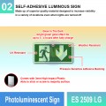 Photoluminescent Exit Sign (Down Arrow) - ES2509LG | Welldone