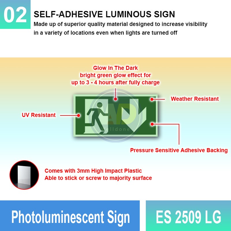Photoluminescent Exit Sign (Down Arrow) - ES2509LG | Welldone