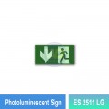 Photoluminescent Exit Sign (Down Arrow) - ES2511LG | Welldone