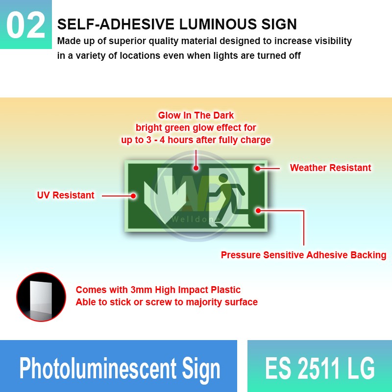 Photoluminescent Exit Sign (Down Arrow) - ES2511LG | Welldone