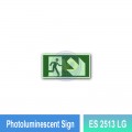 ES 2513 LG Photoluminescent Sign | Directional Finding Sign | Welldone