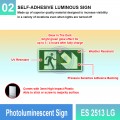 ES 2513 LG Photoluminescent Sign | Directional Finding Sign | Welldone