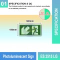 Photoluminescent Exit Sign (Down-Left Arrow) - ES2515LG | Welldone