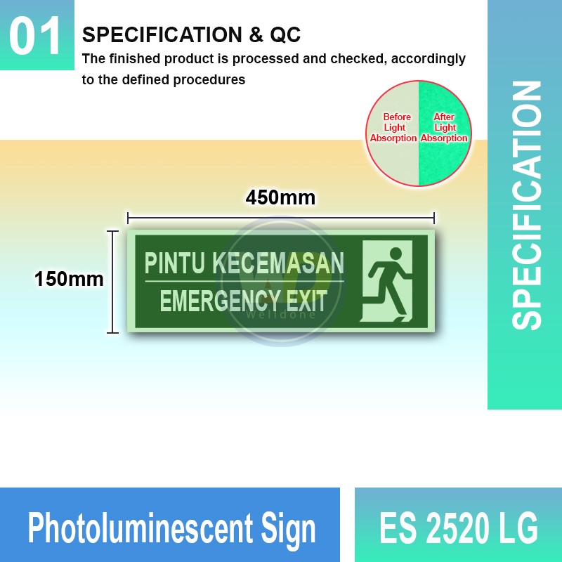 Photoluminescent Emergency Exit Sign - ES2520LG | Welldone