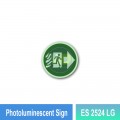 Photoluminescent Exit Sign (Right Arrow) - ES2524LG | Welldone