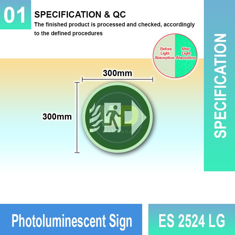ES 2524 LG Photoluminescent Sign | Directional Finding Sign | Welldone