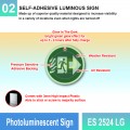 Photoluminescent Exit Sign (Right Arrow) - ES2524LG | Welldone