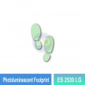 Photoluminescent Footprint Sign - ES2530LG | Welldone