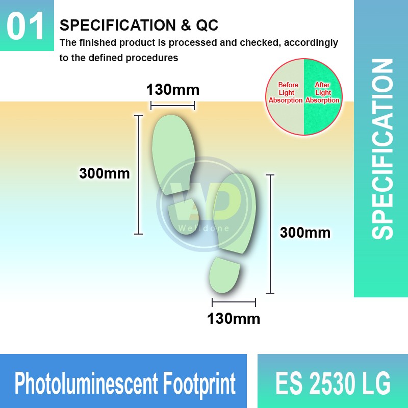 Photoluminescent Footprint Sign - ES2530LG | Welldone