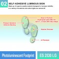 Photoluminescent Footprint Sign - ES2530LG | Welldone