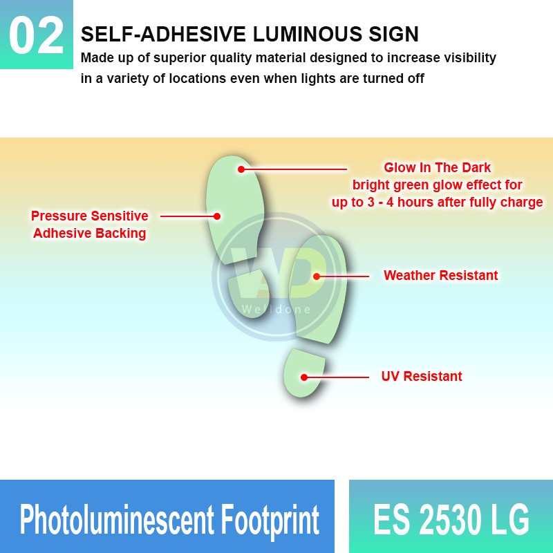 ES 2530 LG Photoluminescent Footprint | Directional Finding Sign | Welldone