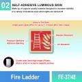 FE-37/48 Fire Ladder | Fire Fighting Equipment MY | Welldone