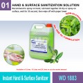 WD 1883 Instant Hand & Surface Sanitizer | Quality Sanitizer MY | Welldone