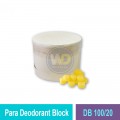 DB 100/20 Para Deodorant Block | Urinal Hygiene MY | Welldone