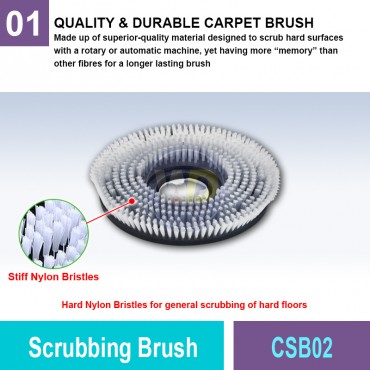 Scrubbing Brush