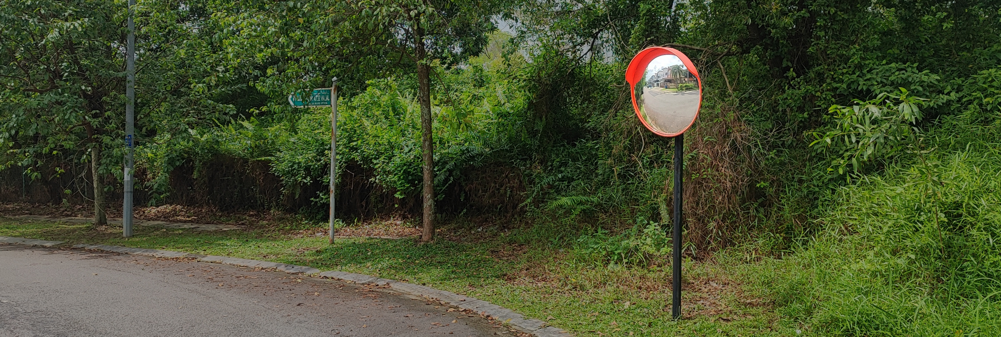 #3 Convex Mirror Slide background